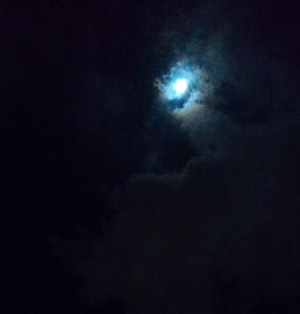 moon2011.jpg